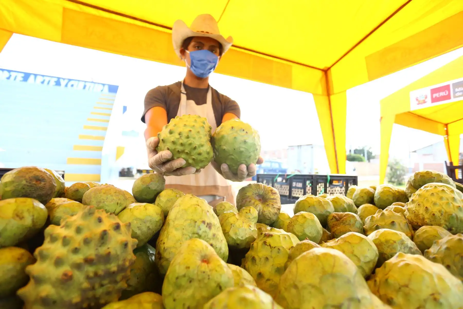 Mercados Minagri " De la Chacra a la Olla "  llegan a Bellavista, Mi Perú y Ventanilla, para abastecer a las familias con alimentos sanos a precios justos. 
Foto: Minagri