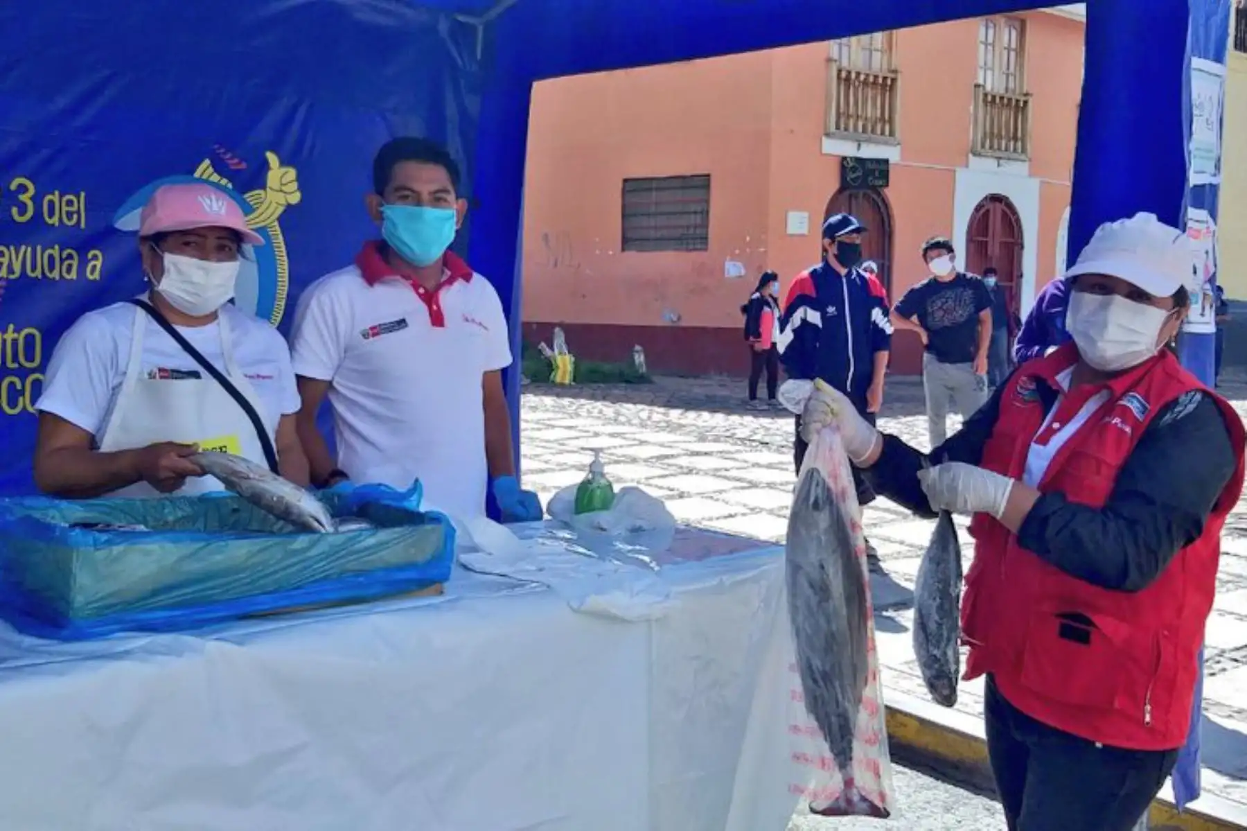 En Ayacucho y Junín promocionan trucha, jurel y bonito a precios de promoción, respetando las normas de salubridad como el uso de  mascarillas, guantes y distancia entre los asistentes. Foto: ANDINA/Ministerio de Producción