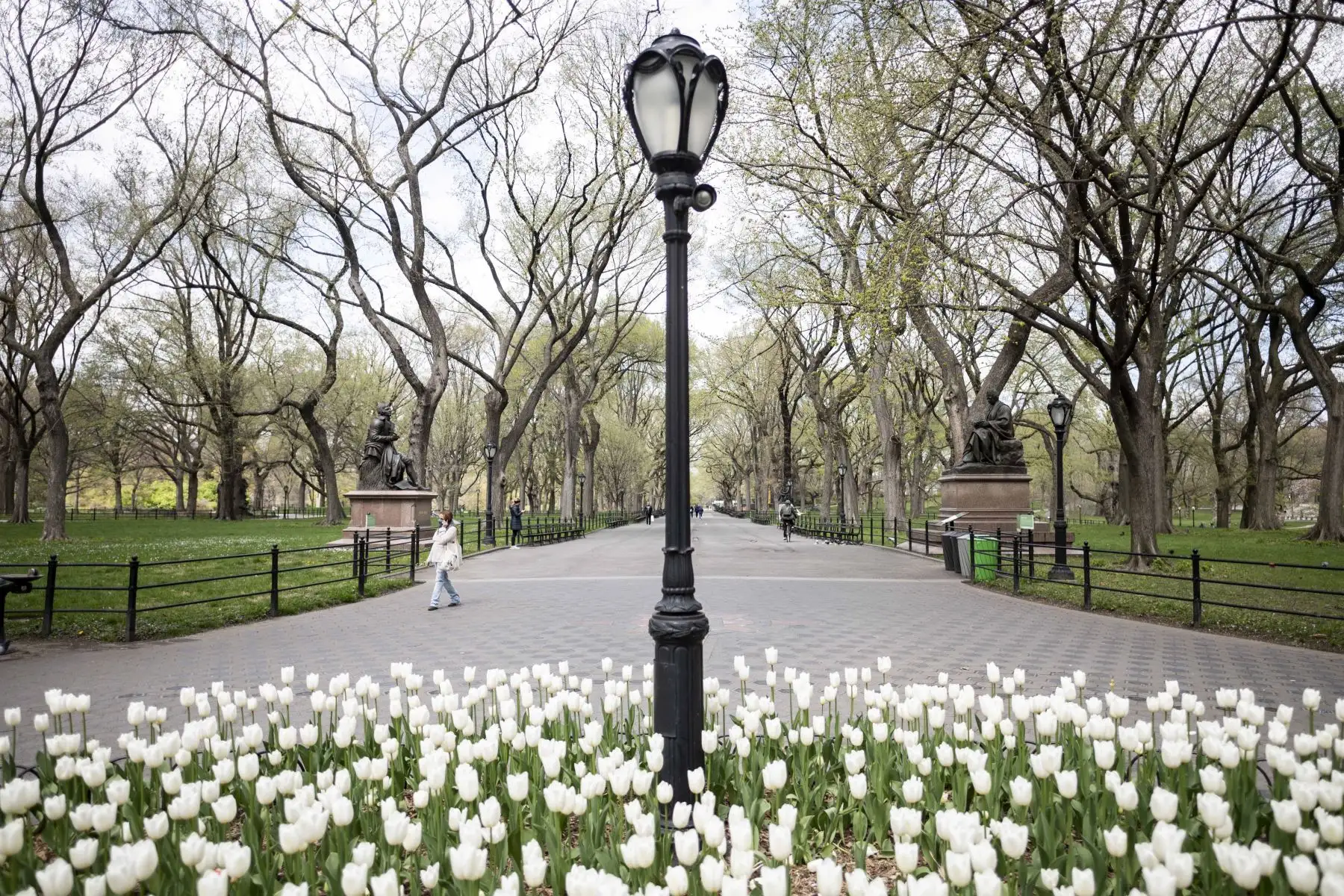Una mujer con una máscara camina en el casi desierto Parque Central de Manhattan en la ciudad de Nueva York. Foto: AFP