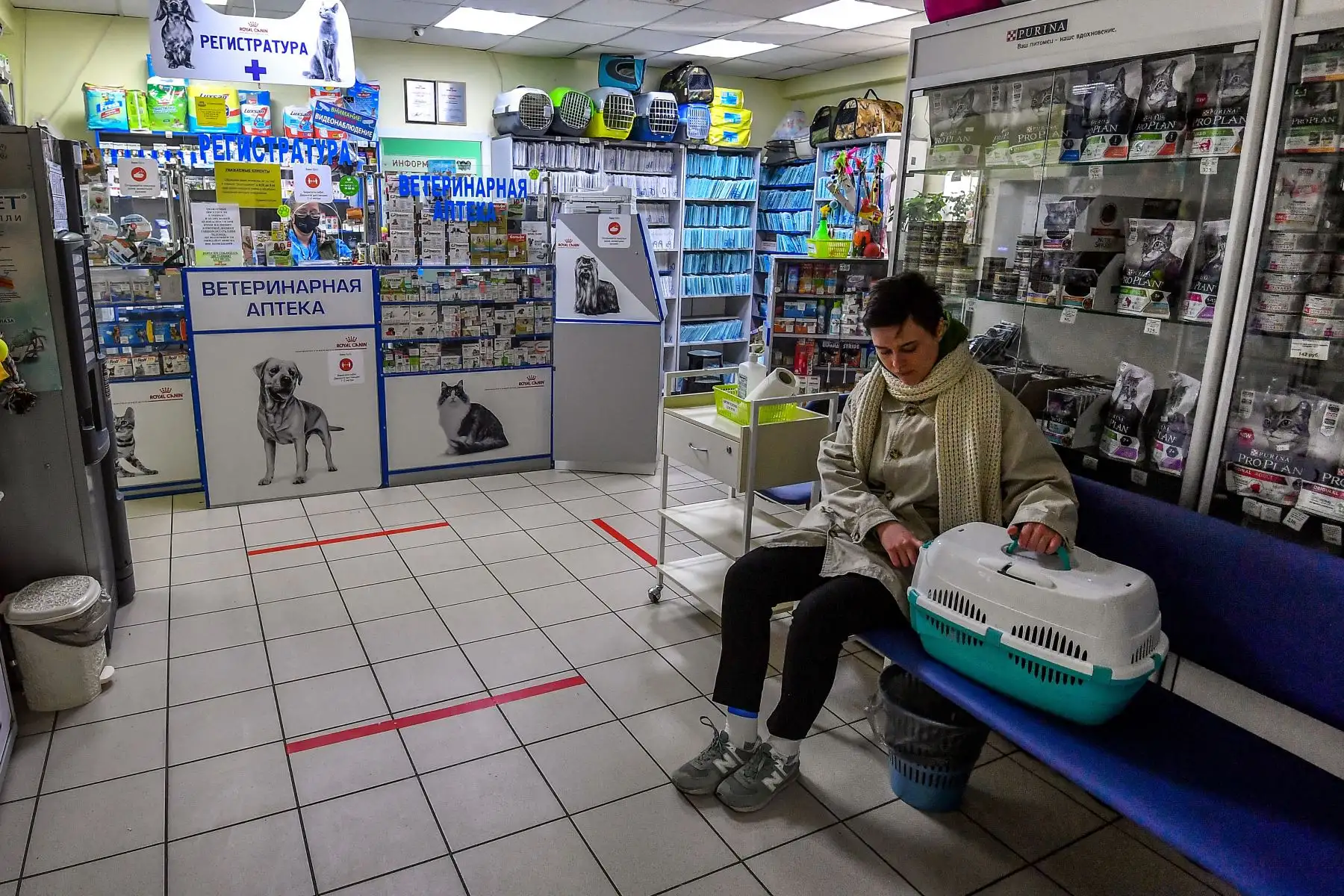 El dueño de un gato espera el turno en la clínica veterinaria "ZooAcademy" en Moscú , durante un estricto encierro en Rusia para detener la propagación del coronavirus COVID-19. 
Foto: AFP