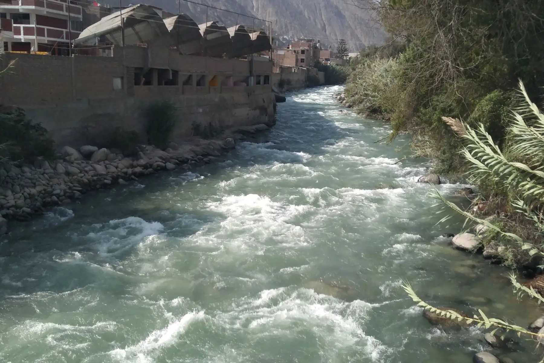 Así luce el río Rímac en Chosica, a la altura del puente Carmela Estrella. Foto: ANDINA/@siuhra