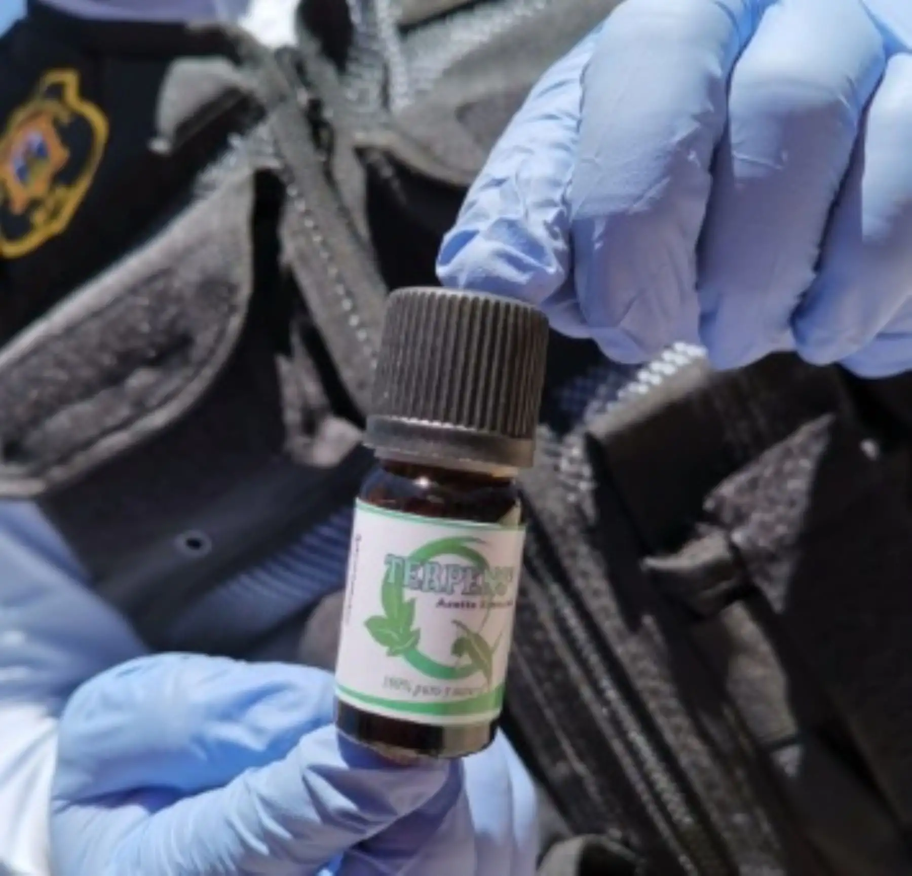 La Municipalidad Provincial de Huamanga entregará de manera gratuita 400 frascos de aceite de eucalipto o eucaliptol al personal de salud, policías, militares, serenazgo y de limpieza municipal, a fin de mitigar los síntomas del coronavirus covid-19, informó el alcalde Yuri Gutiérrez.