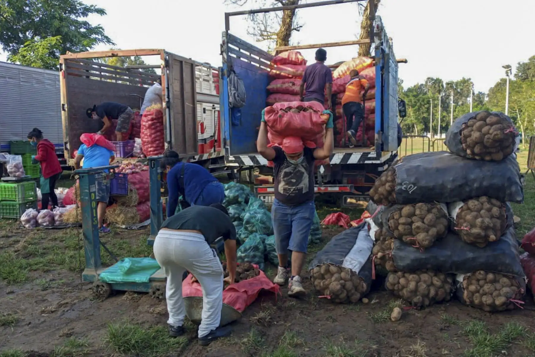 los asistentes pudieron comprar productos de alta demanda, como papa única a S/0.65 el kg, limón a S/2, cebolla a S/1.30, pollo entero a S/10, carne de cerdo desde S/9, entre otros productos esenciales. Foto: ANDINA/Municipalidad de Lima
