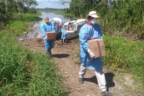 En el contexto de la emergencia sanitaria, el Ministerio de Cultura, en coordinación con la Diresa Ucayali, entregó víveres e implementos de limpieza a la comunidad shipibo-konibo de Puerto Bethel. Foto:ANDINA/Ministerio de Cultura