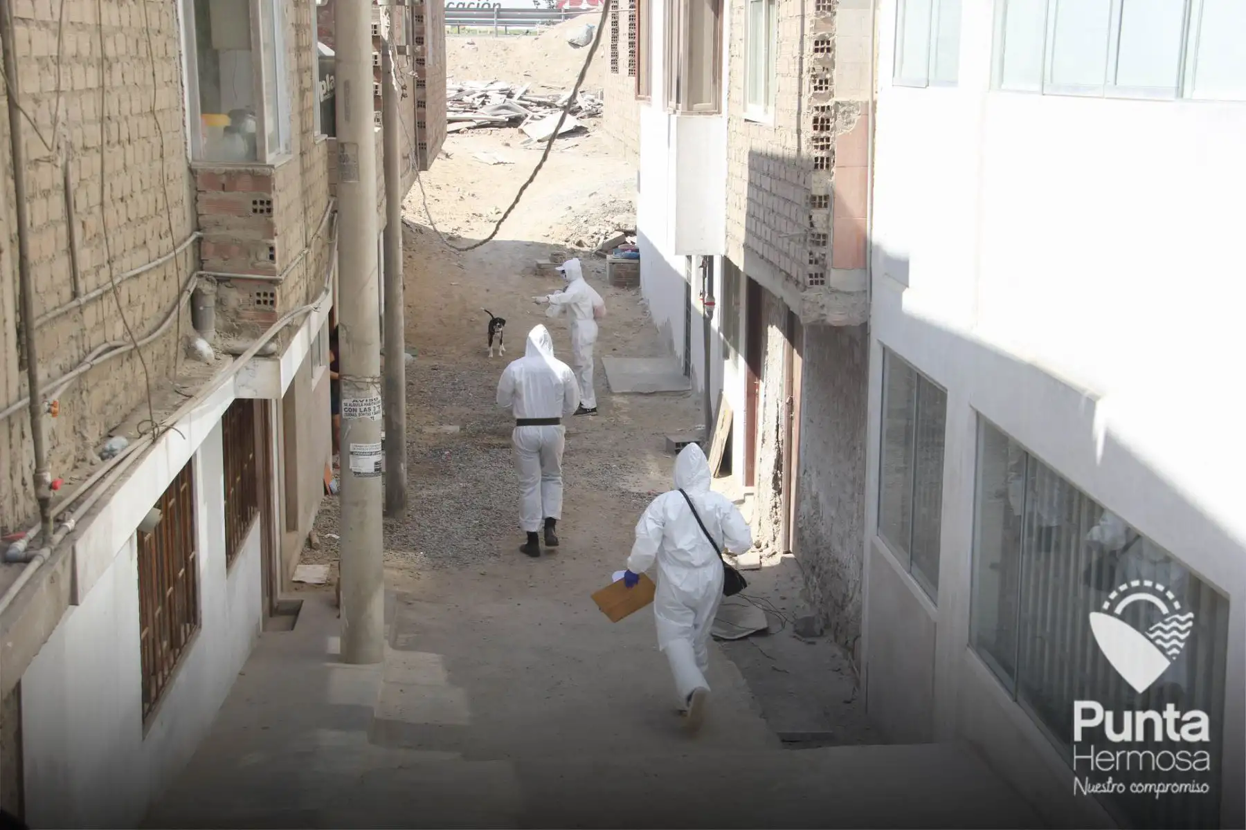 Municipalidad de Punta Hermosa entregó más de 6,000 pollos a familias más vulnerables de la jurisdicción gracias al apoyo de la Fundación Lima de la MML y empresas privadas. Foto: ANDINA/Municipalidad de Punta Hermosa