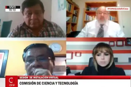 La instalación de las comisiones se efectuó en forma virtual. ANDINA/Difusión