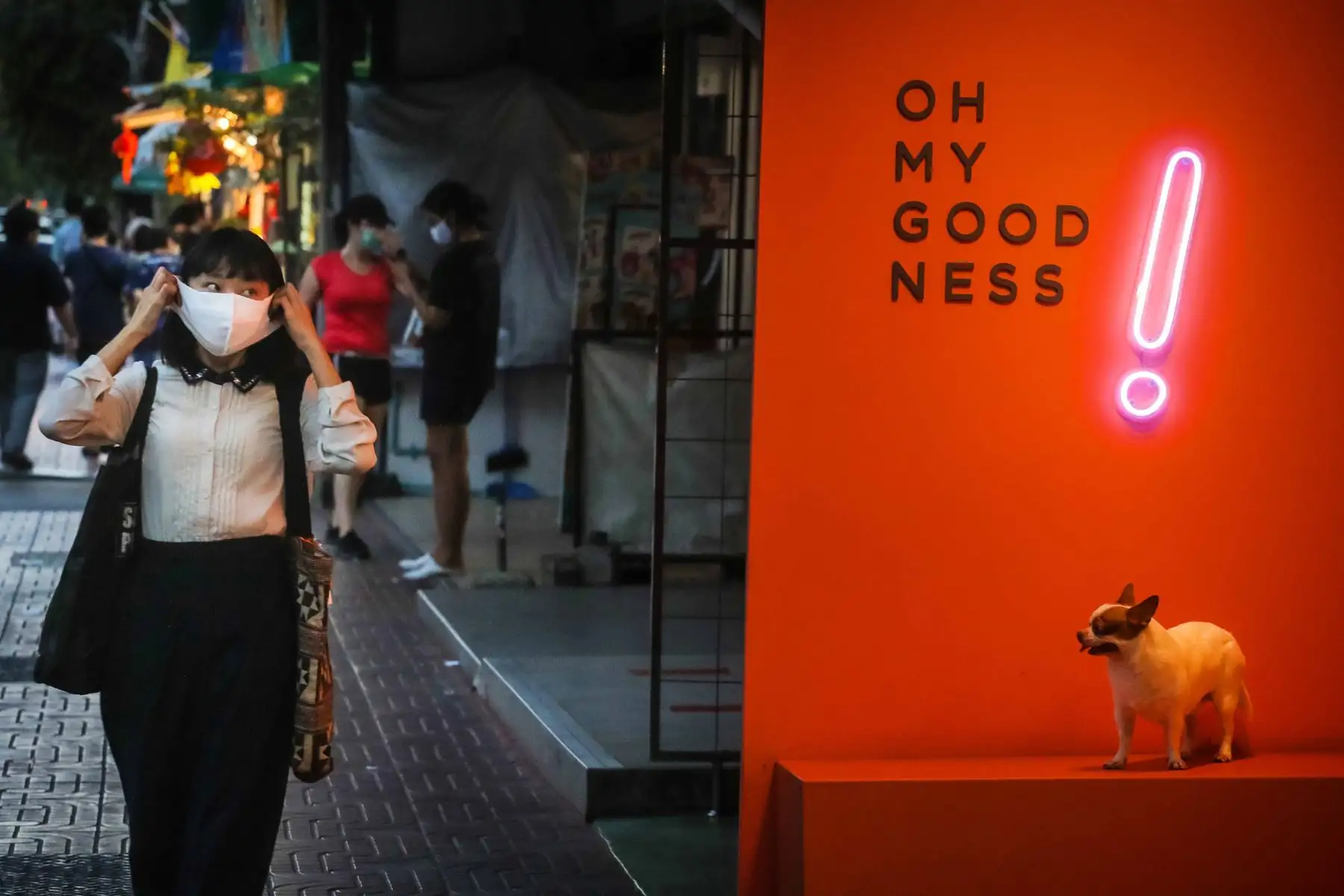 Una mujer mira a un perro mientras se pone una mascarilla como medida preventiva contra la propagación del nuevo coronavirus COVID-19 en Bangkok. Foto: AFP