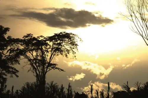 El bosque amazónica peruano constituye un espacio de gran potencial para las iniciativas de conservación.