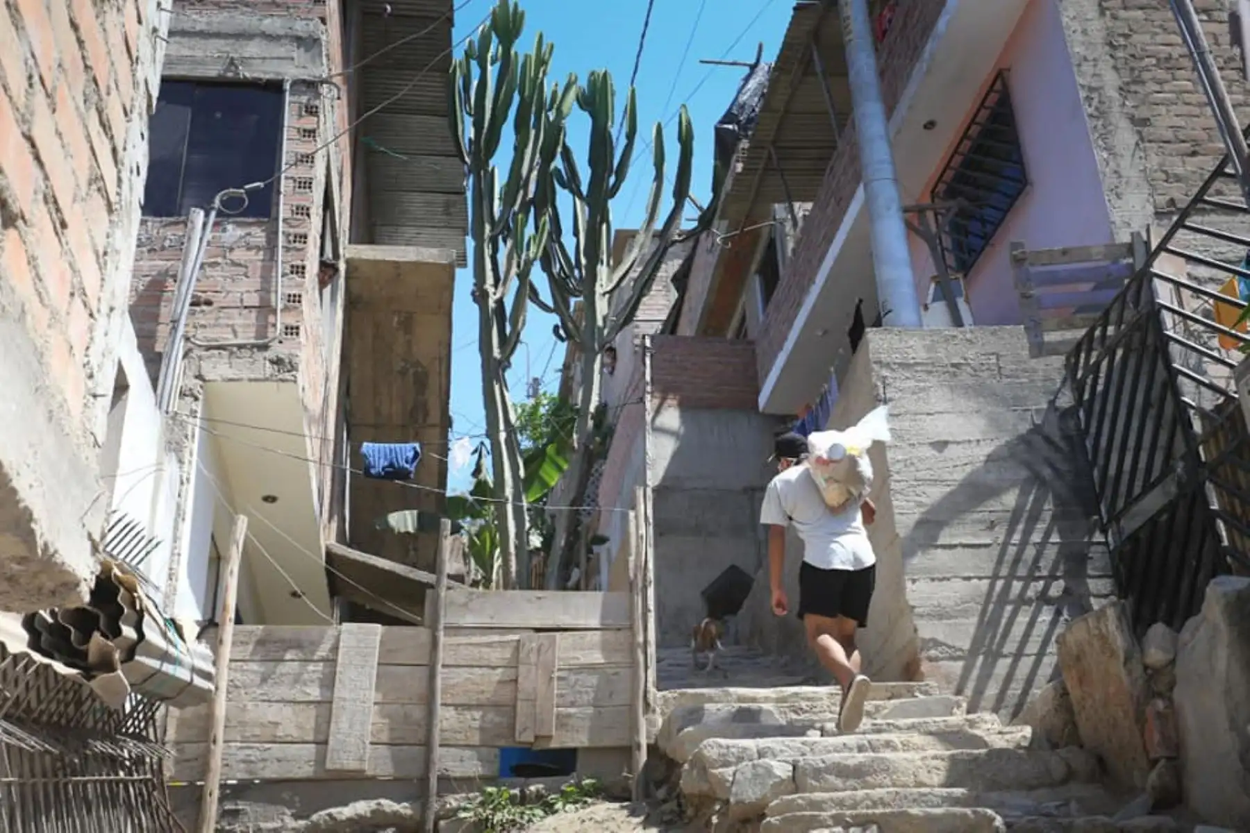 Municipalidad de San Juan de Miraflores entregó canastas a familias en situación de vulnerabilidad de La Rinconada. Foto: ANDINA/Municipalidad de San Juan de Miraflores