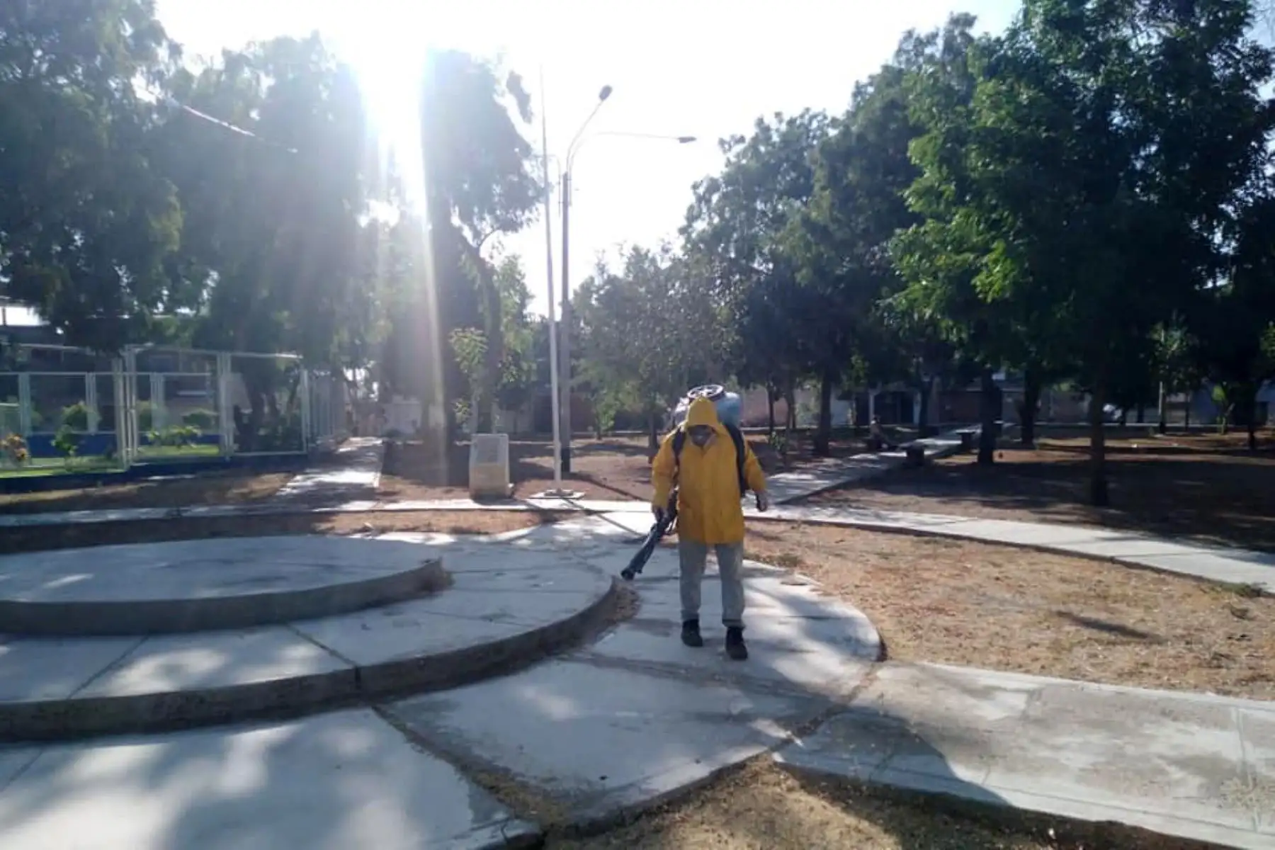 Se desinfectó parques de todas las etapas de la Urbanización Piura, Parque Ecológico, Parque de la Bandera, Parque Eguiguren, Parque Gainza, Parque de la Gruta, Parque Guadalupe, entre otros. Foto: ANDINA/Muncipalidad de Piura