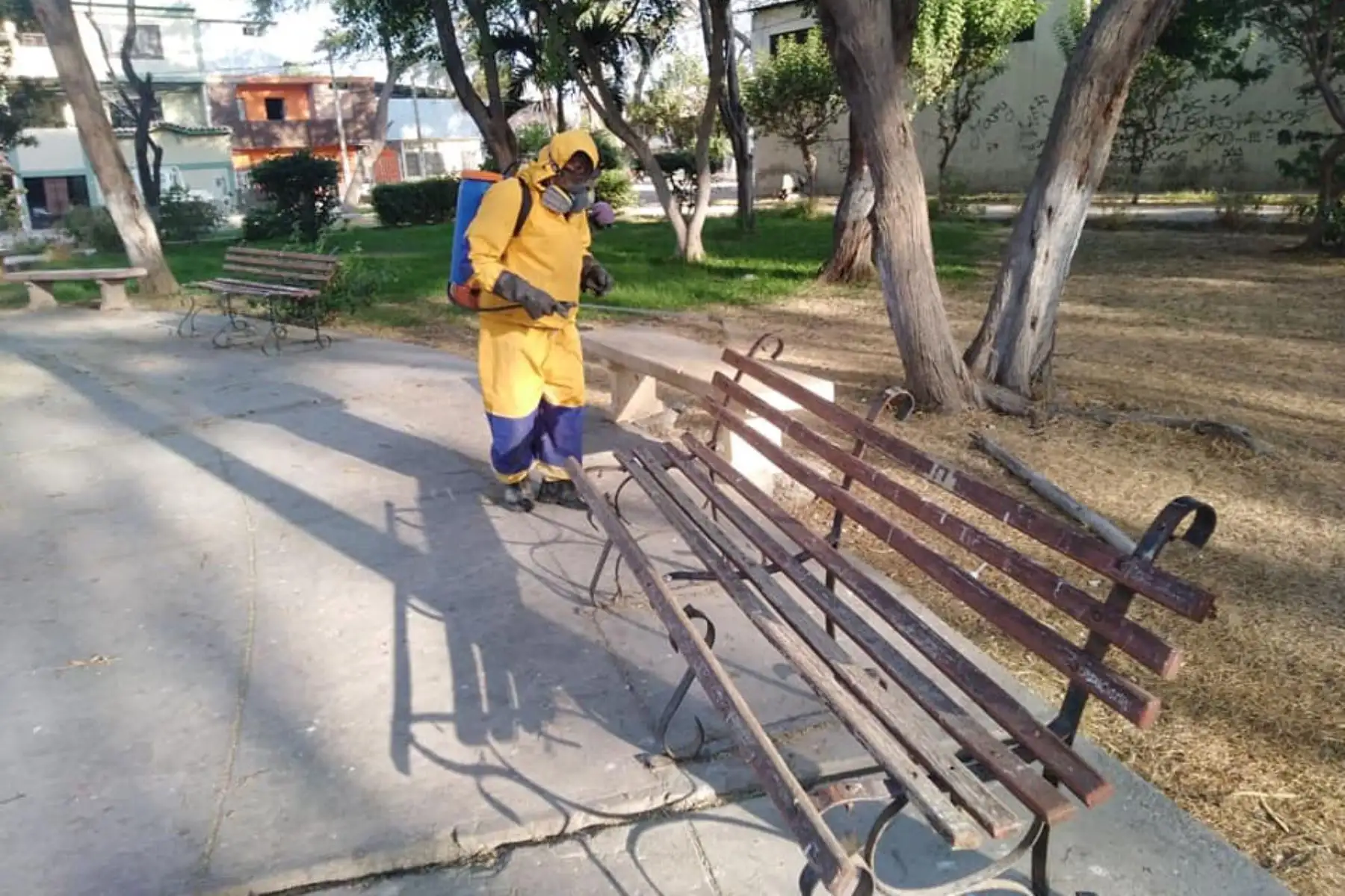 Personal de la Municipalidad de Piura continúa trabajos de desinfección en avenidas principales, alrededores de hospitales y urbanizaciones de la región. Foto: ANDINA/Muncipalidad de Piura
