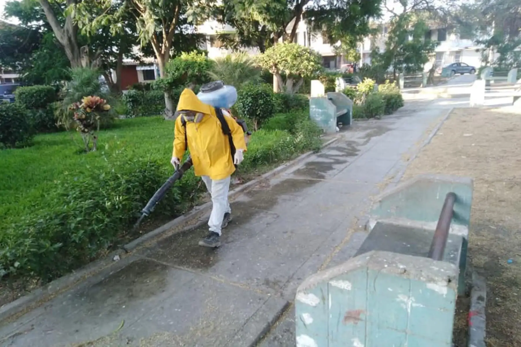Se desinfectó parques de todas las etapas de la Urbanización Piura, Parque Ecológico, Parque de la Bandera, Parque Eguiguren, Parque Gainza, Parque de la Gruta, Parque Guadalupe, entre otros. Foto: ANDINA/Muncipalidad de Piura