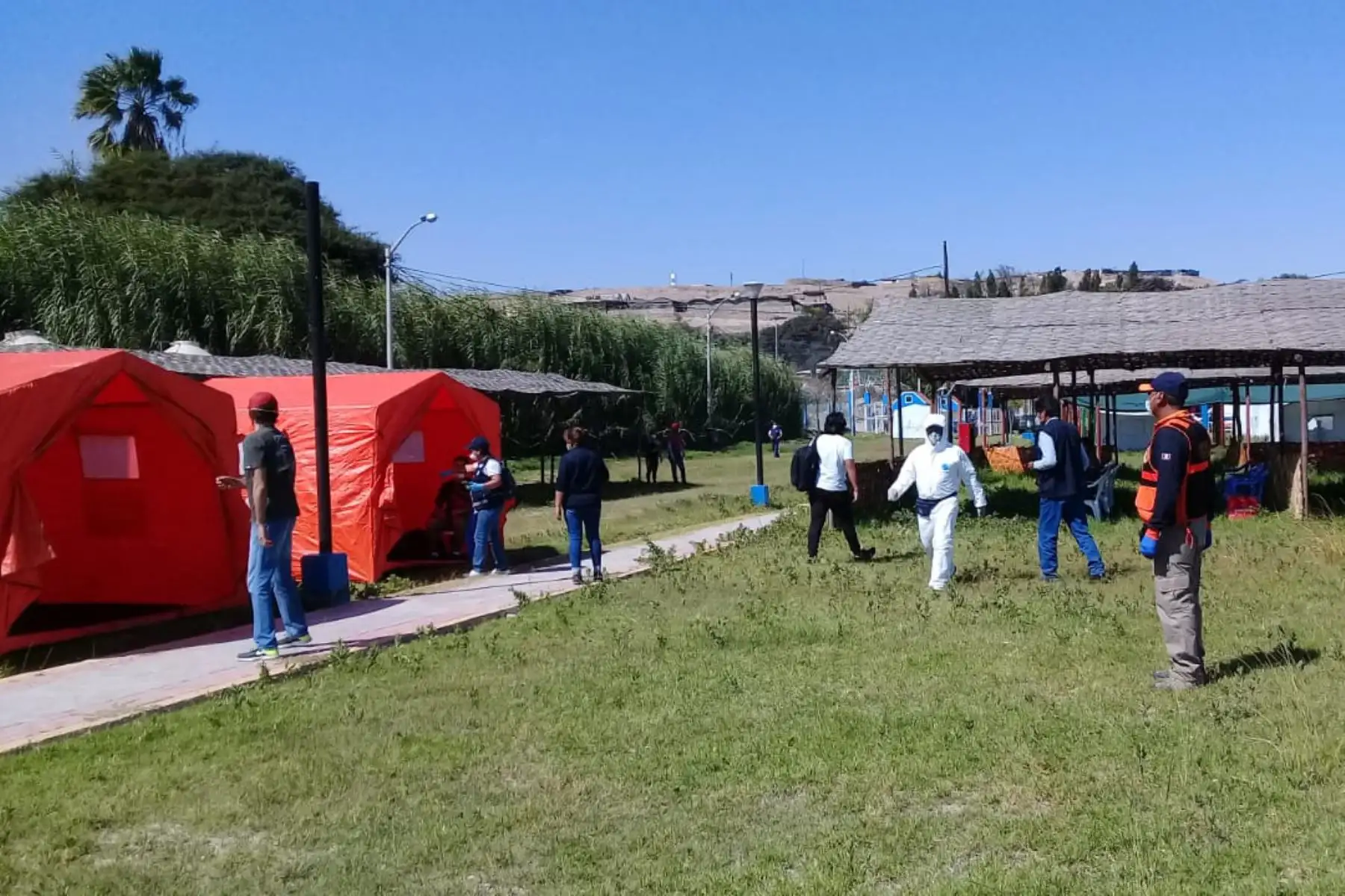 Llegaron a Moquegua alrededor de 173 connacionales en situación de vulnerabilidad, desde Lima con un trabajo articulado entre autoridades e instituciones del gobierno Nacional y regional se realizaron acciones de control sanitario.

Foto:INDECI