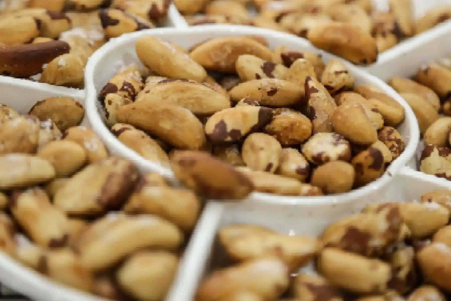 Madre de Dios: buscan desarrollo económico con micropropagación de plantones de castaña. ANDINA/Difusión