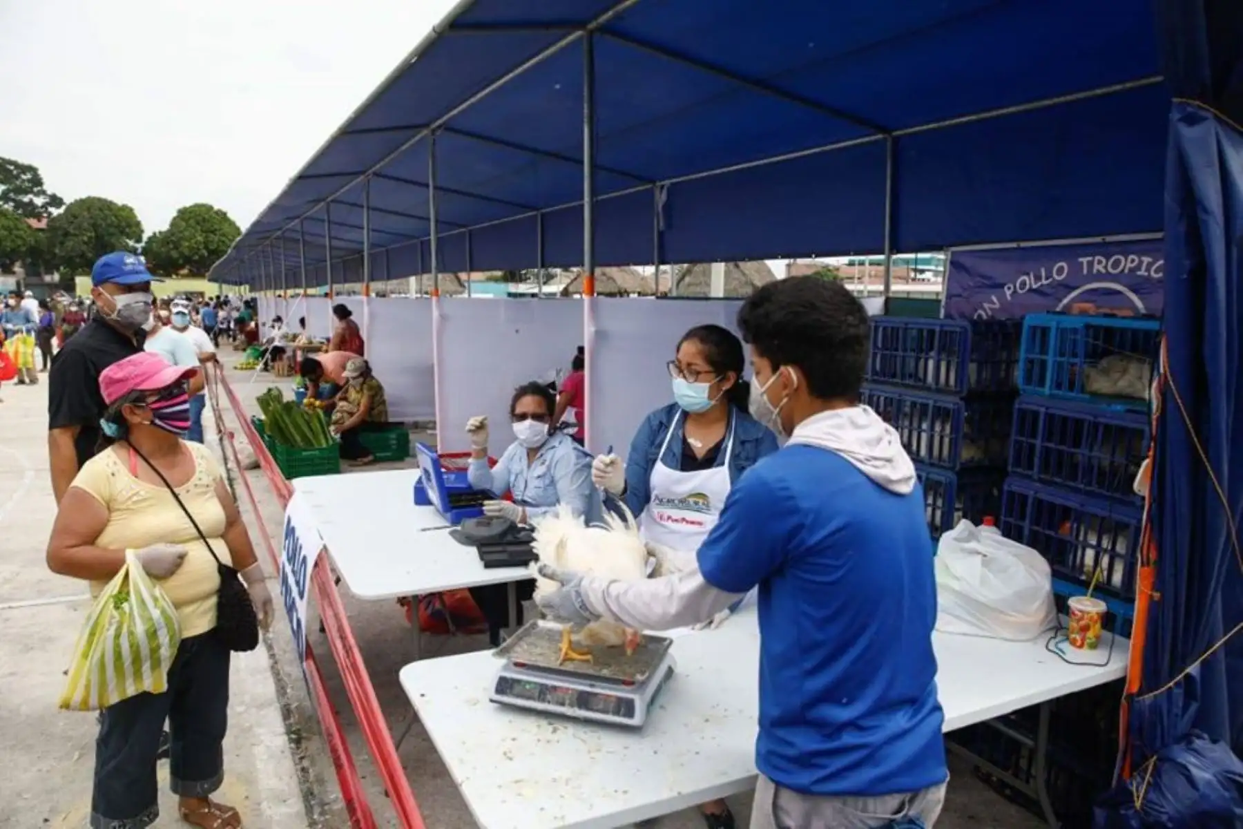 El Ministerio de Agricultura y el Gobierno Regional de San Martín promueven  el mercado itinerante “De la Chacra a la Olla” en el campo ferial Ayaymama de Moyobamba de la región San Martín.
Foto: Gobierno Regional San Martín