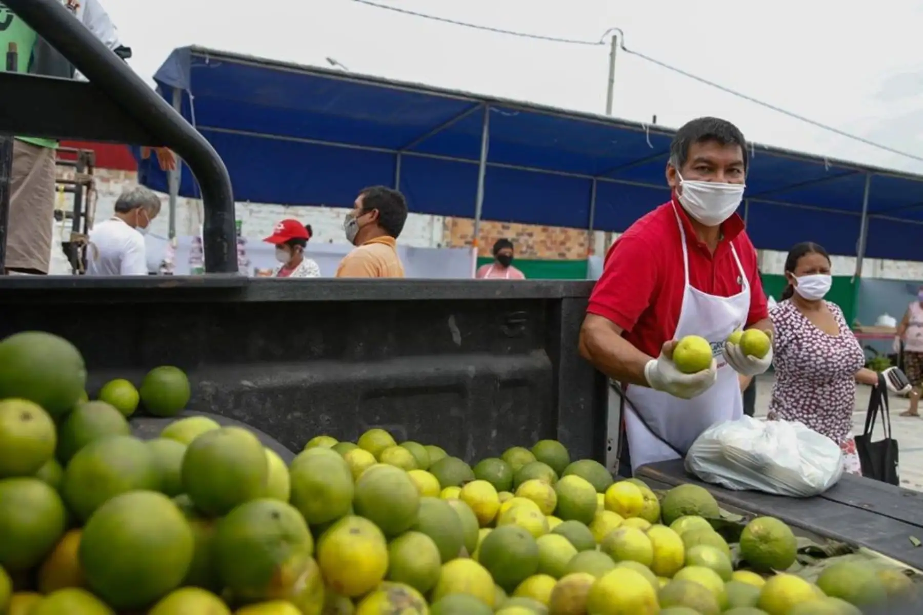 El Ministerio de Agricultura y el Gobierno Regional de San Martín promueven  el mercado itinerante “De la Chacra a la Olla” en el campo ferial Ayaymama de Moyobamba de la región San Martín.
Foto: Gobierno Regional San Martín