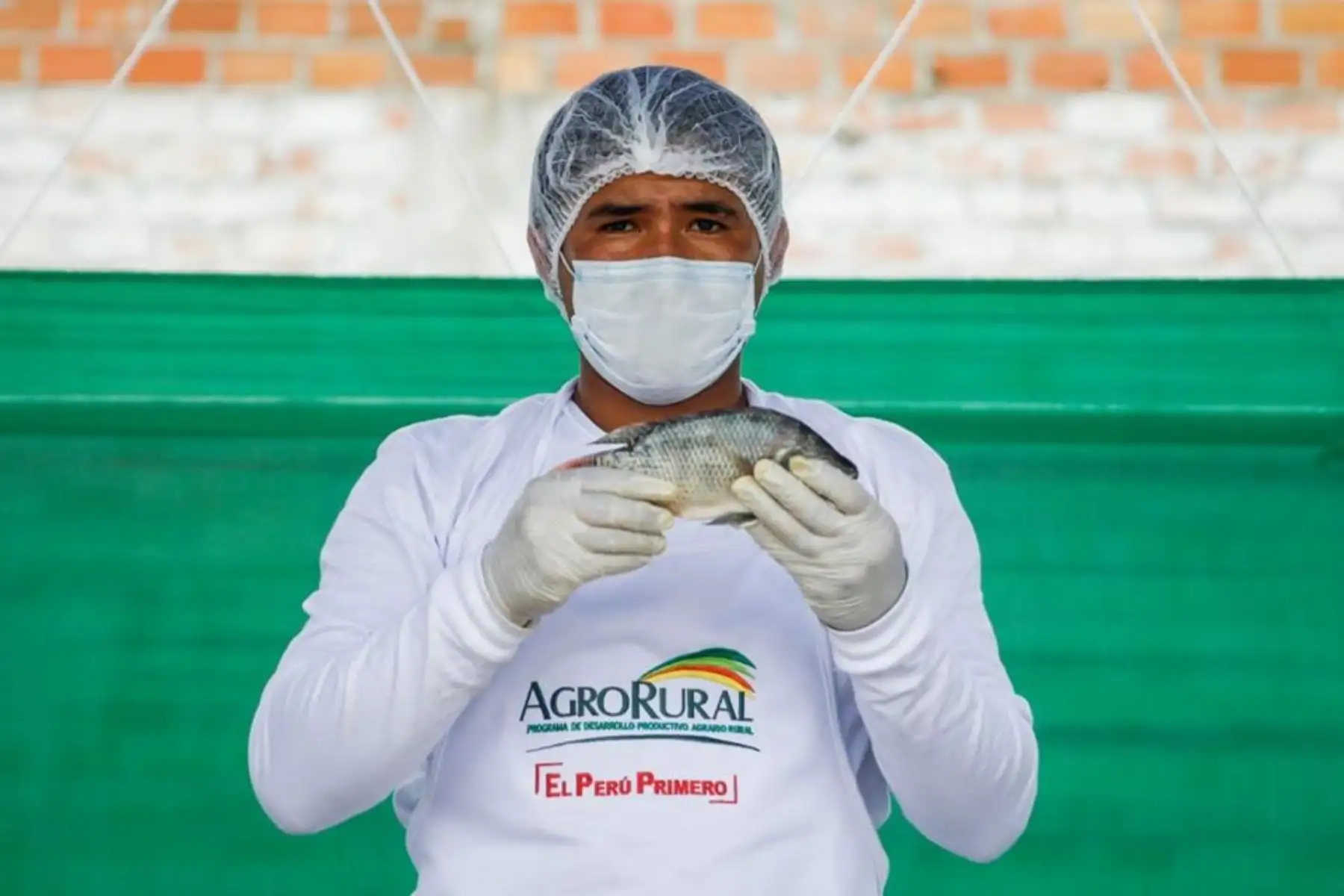 El Ministerio de Agricultura y el Gobierno Regional de San Martín promueven  el mercado itinerante “De la Chacra a la Olla” en el campo ferial Ayaymama de Moyobamba de la región San Martín.
Foto: Gobierno Regional San Martín