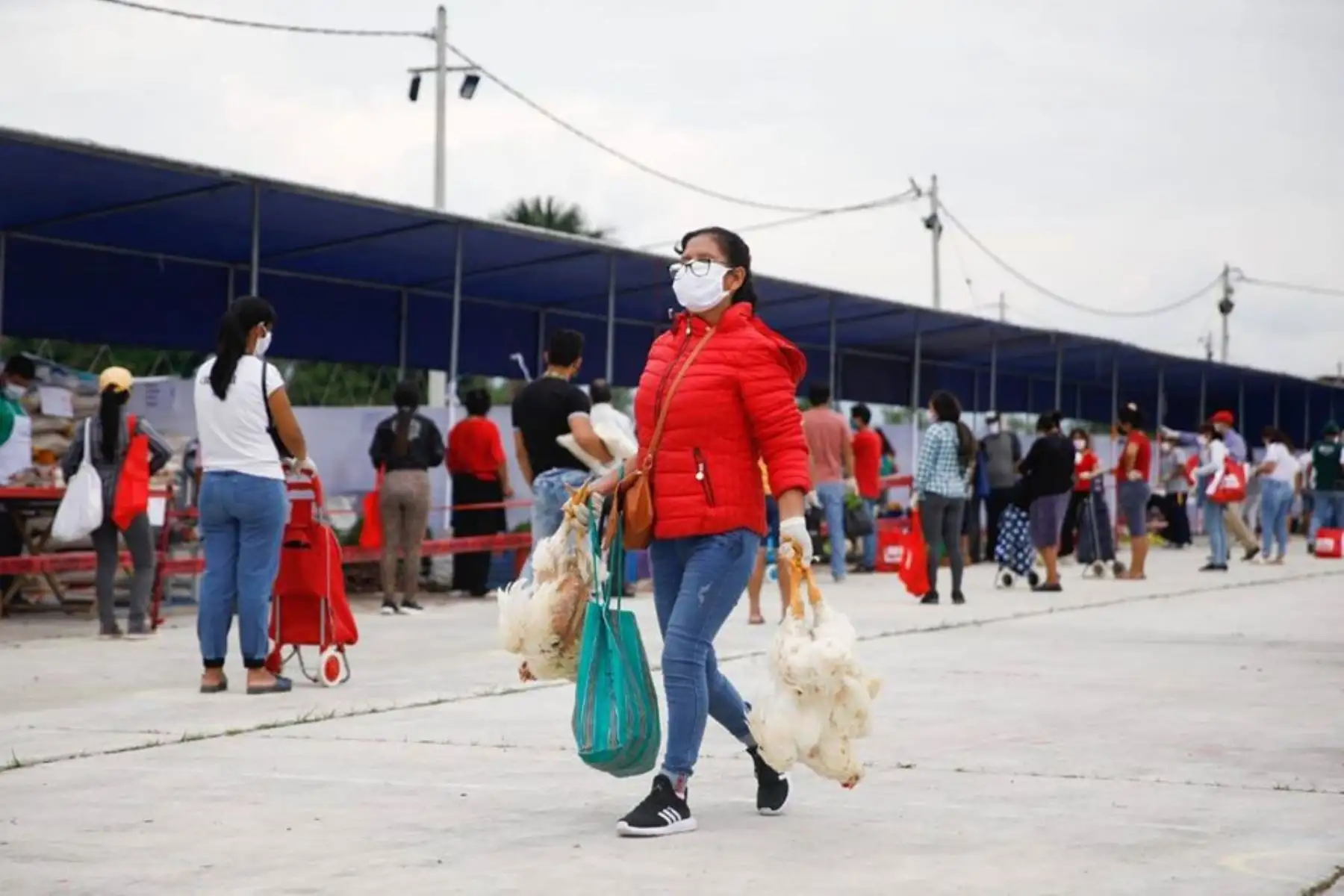 El Ministerio de Agricultura y el Gobierno Regional de San Martín promueven  el mercado itinerante “De la Chacra a la Olla” en el campo ferial Ayaymama de Moyobamba de la región San Martín.
Foto: Gobierno Regional San Martín