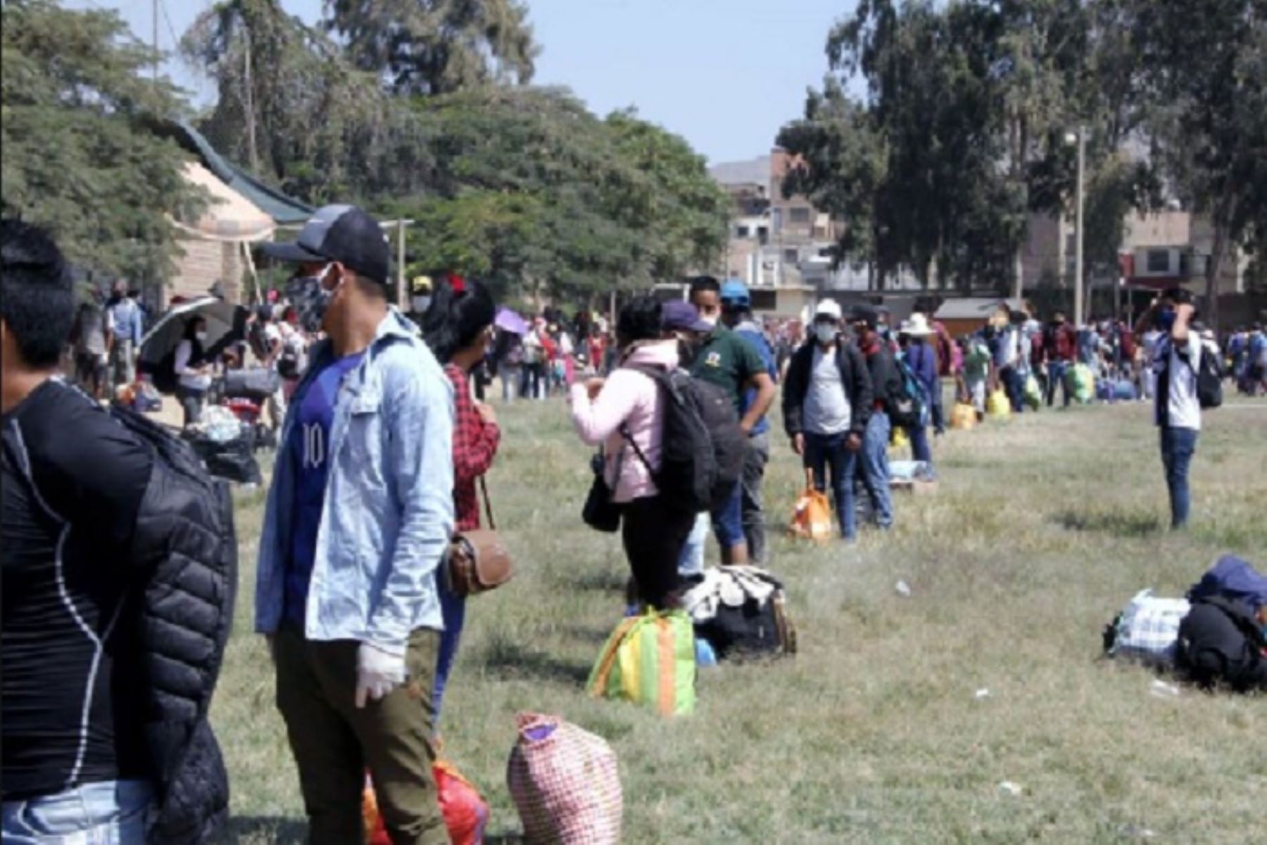 Traslado humanitario: 700 ancashinos que iban a pie desde Lima retornarán en 21 buses