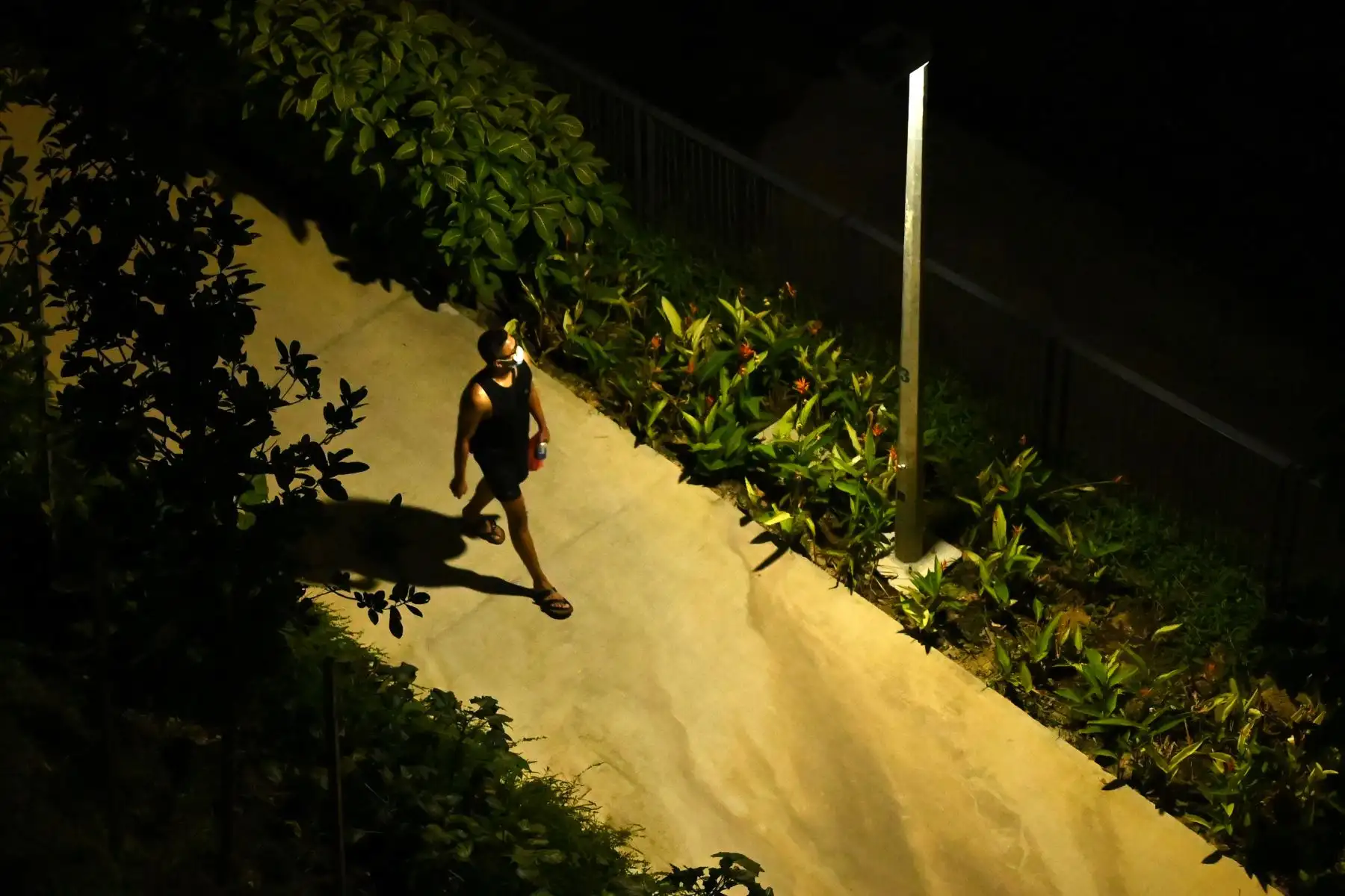 Un hombre, que usa una máscara facial como medida preventiva contra la propagación del nuevo coronavirus COVID-19, camina por un sendero en Singapur. Foto: AFP