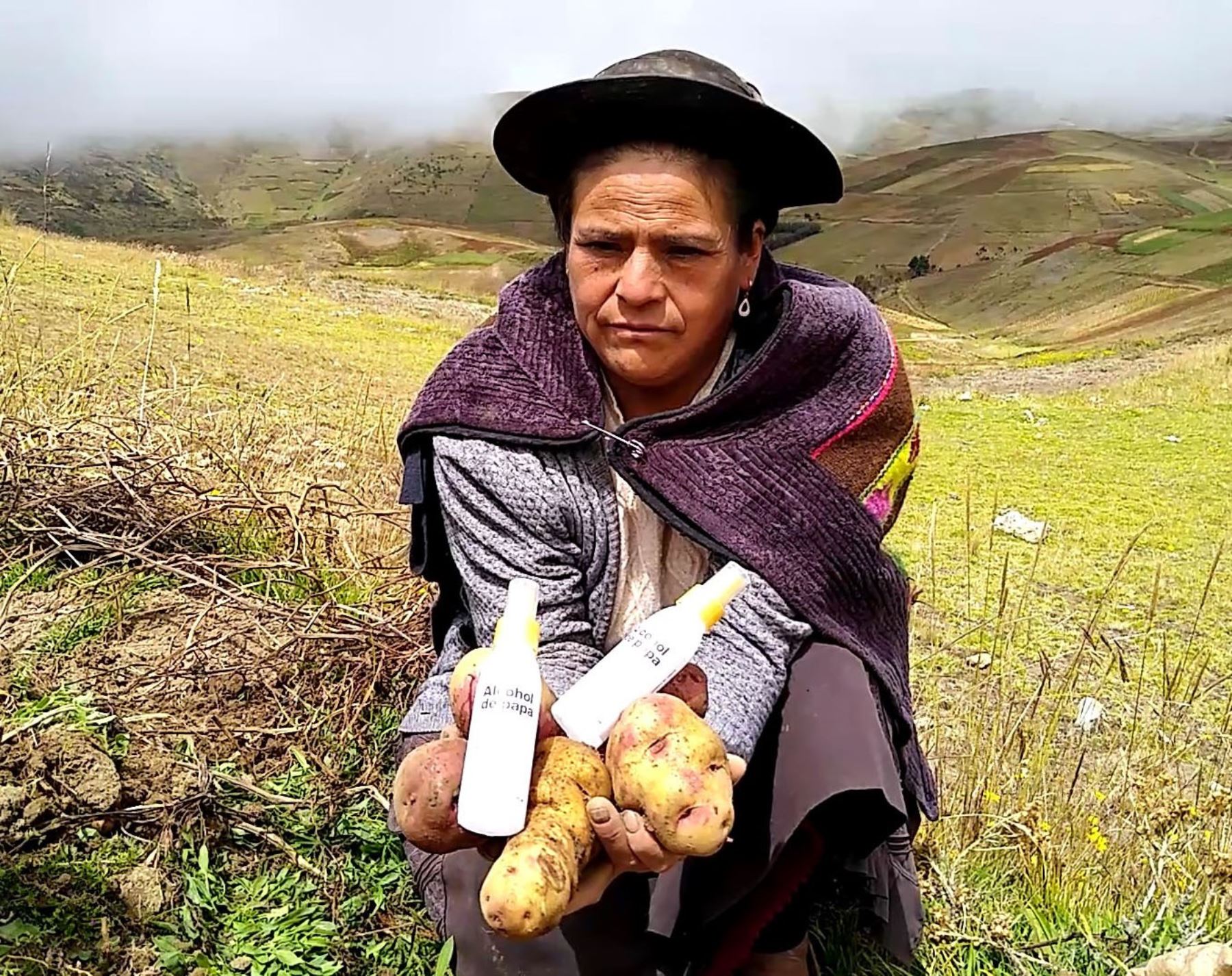 Productores de papa nativa del distrito de Pazos, región Huancavelica, elaborarán desinfectante de alcohol de papa. ANDINA/Difusión