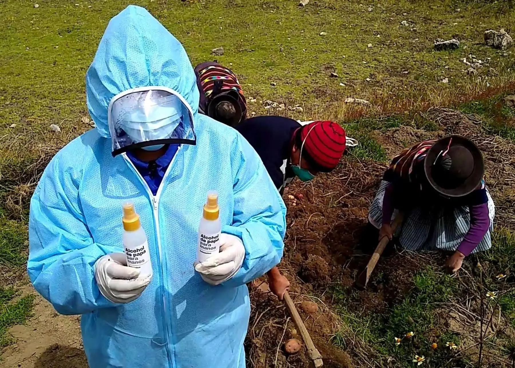 Agricultores del distrito de Pazos, en Huancavelica, recibieron alcohol antiséptico que elaboró una empresa peruana a base de la papa nativa cultivada en dicha región. Foto: Pedro Tinoco