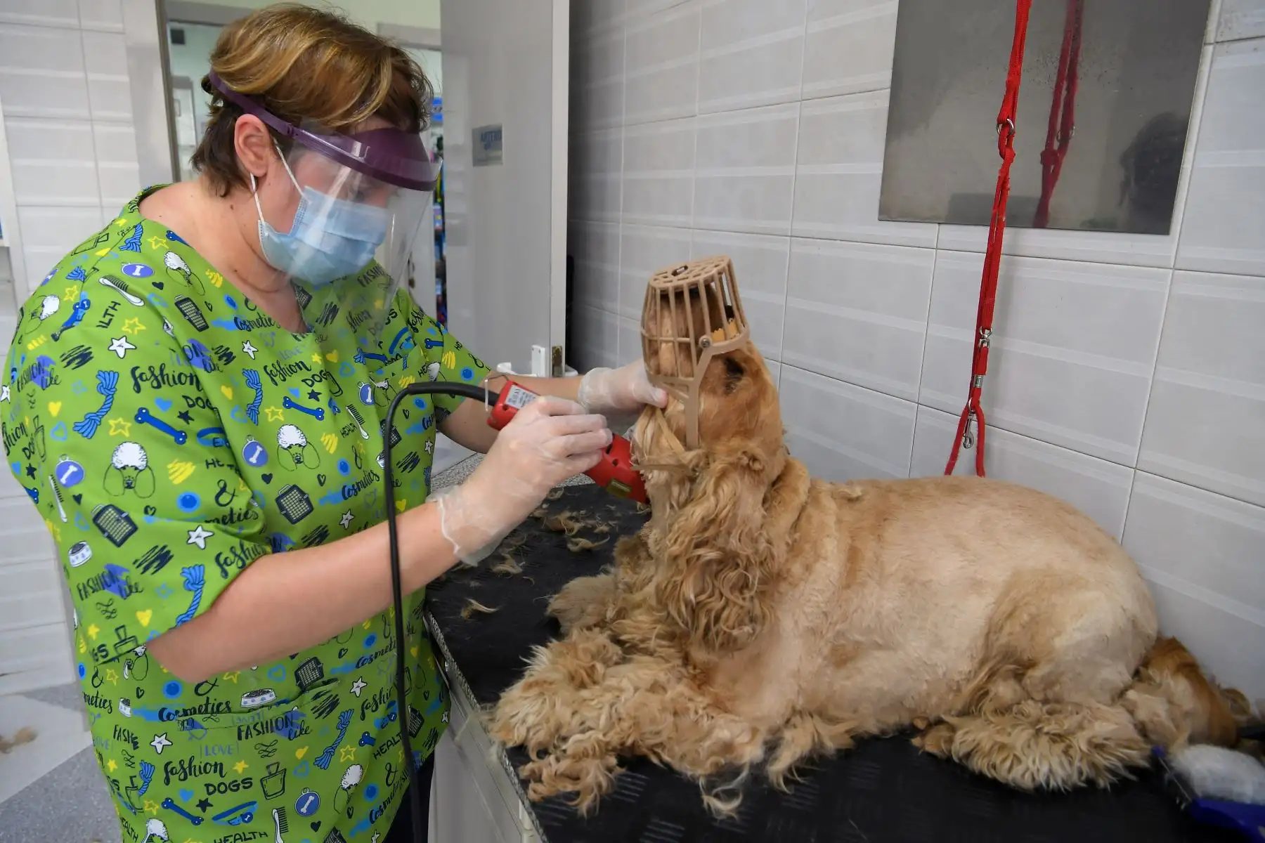 Una peluquera trabaja en su negocio en Vilanova i la Geltru, el 4 de mayo de 2020, después de su reapertura por primera vez desde el inicio de un bloqueo nacional para prevenir la propagación de la enfermedad COVID-19. Foto: AFP