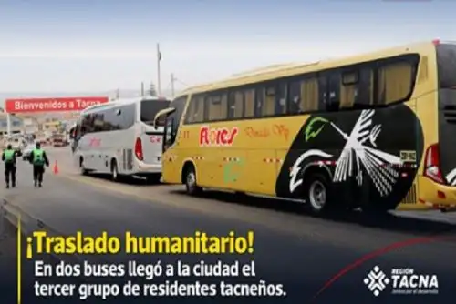 Hasta el momento suman más de 650 los tacneños que ha retornado a su región.