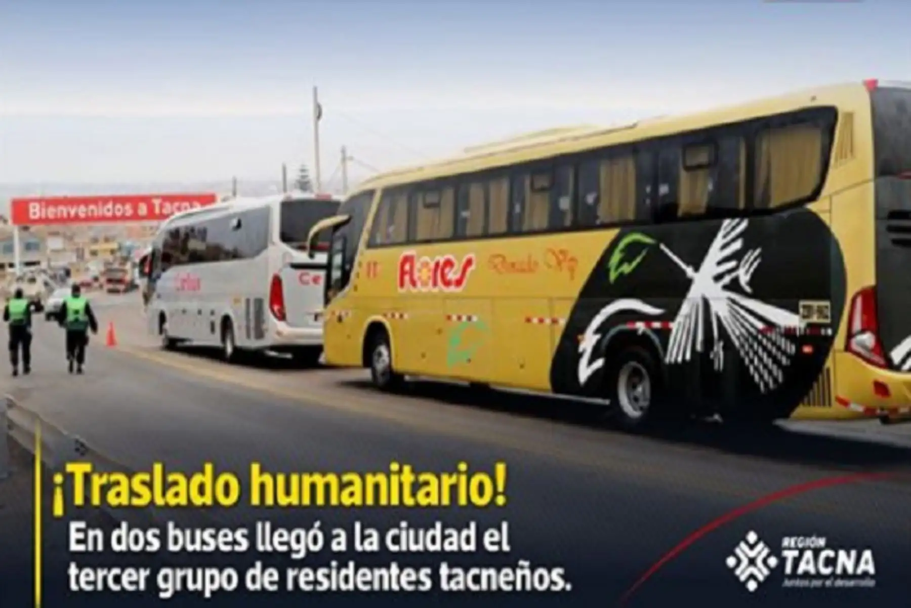 Hasta el momento suman más de 650 los tacneños que ha retornado a su región.