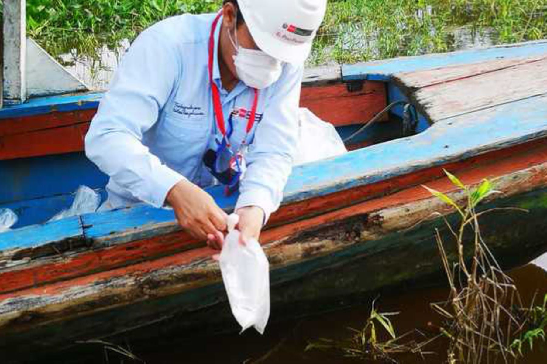 Produce decomisó 11,220 peces ornamentales amazónicos extraídos ilegalmente en Iquitos y los regresó a la cuenca del río Amazonas. Foto: Produce