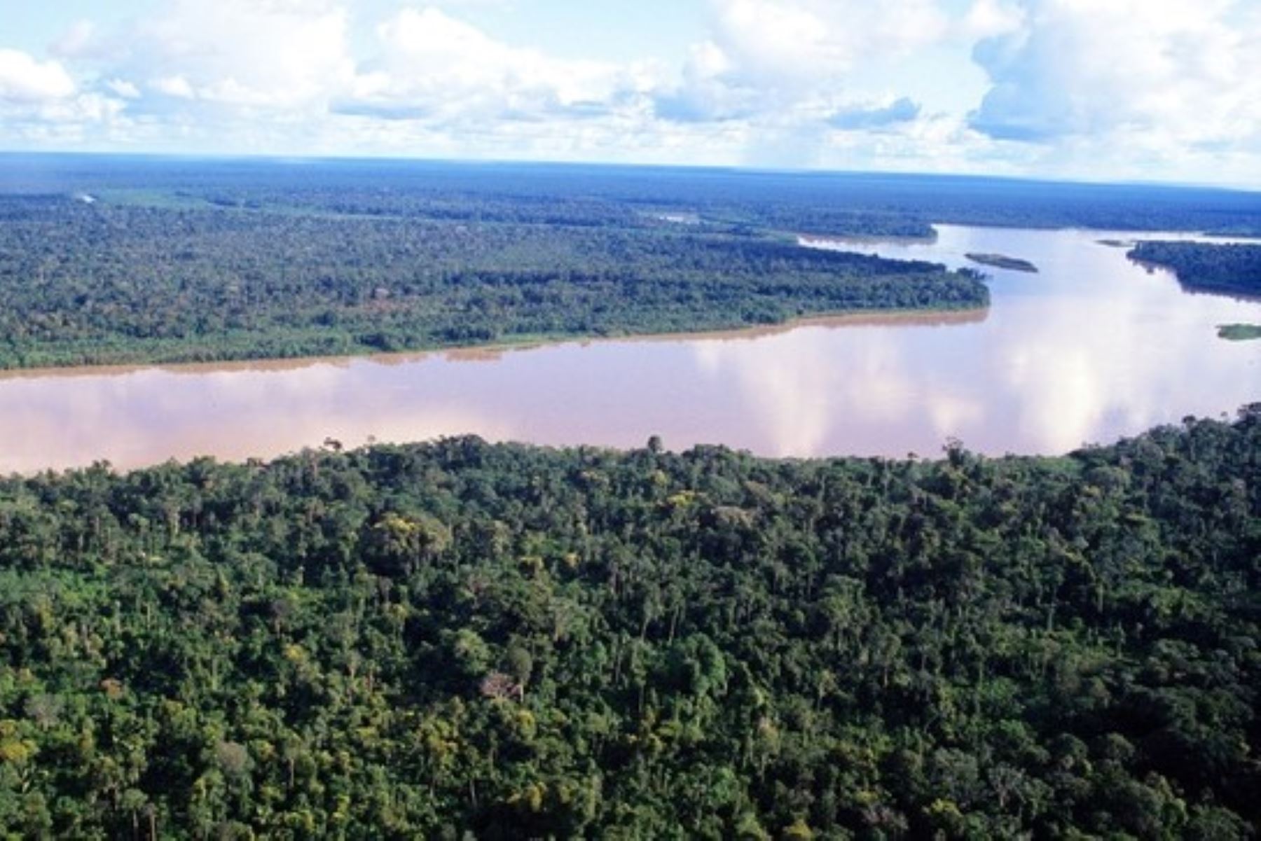 Perú y Brasil poseen las más amplias extensiones de bosque amazónico. Foto: ANDINA/Difusión