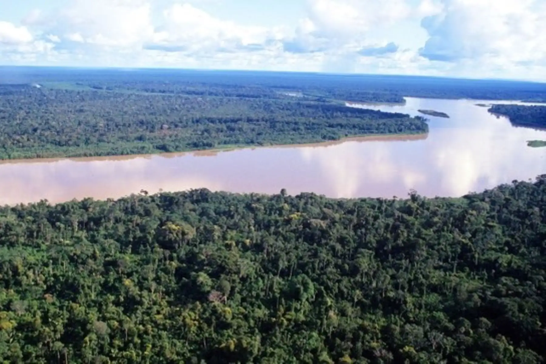 Bosque amazónico.