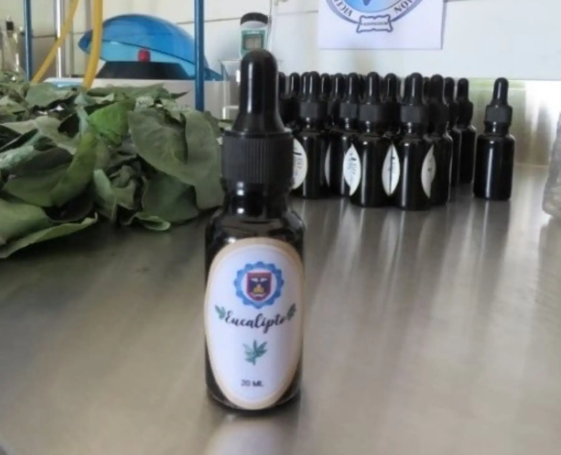 La Universidad Nacional de Piura (UNP) se suma a los esfuerzos que despliegan las universidades peruanas para combatir el covid-19. Con ese objetivo, elaborará aceite esencial de eucalipto o eucaliptol para aliviar los síntomas del covid-19 en pacientes infectados con síntomas leves o moderados.