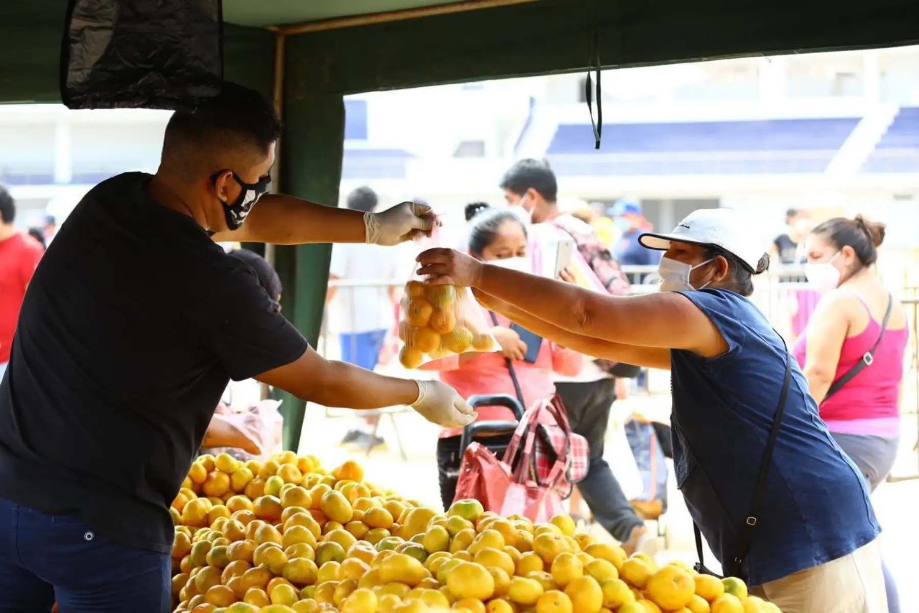 Mercados de la Chacra a la Olla están cerca de la población ante cierre de mercados que no cumplen condiciones sanitarias de venta. ANDINA