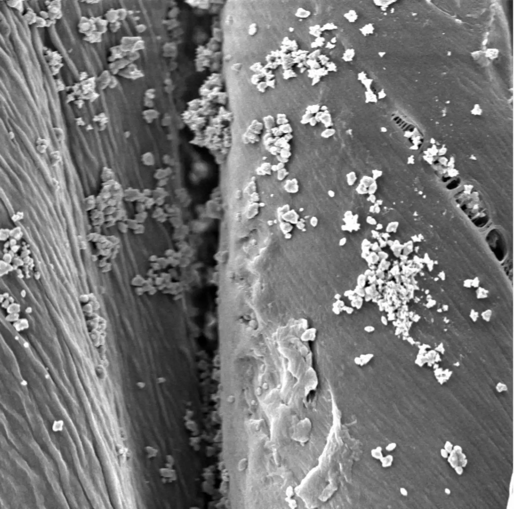 Telas con nanoparticulas de cobre y zinc protegen del COVID-19