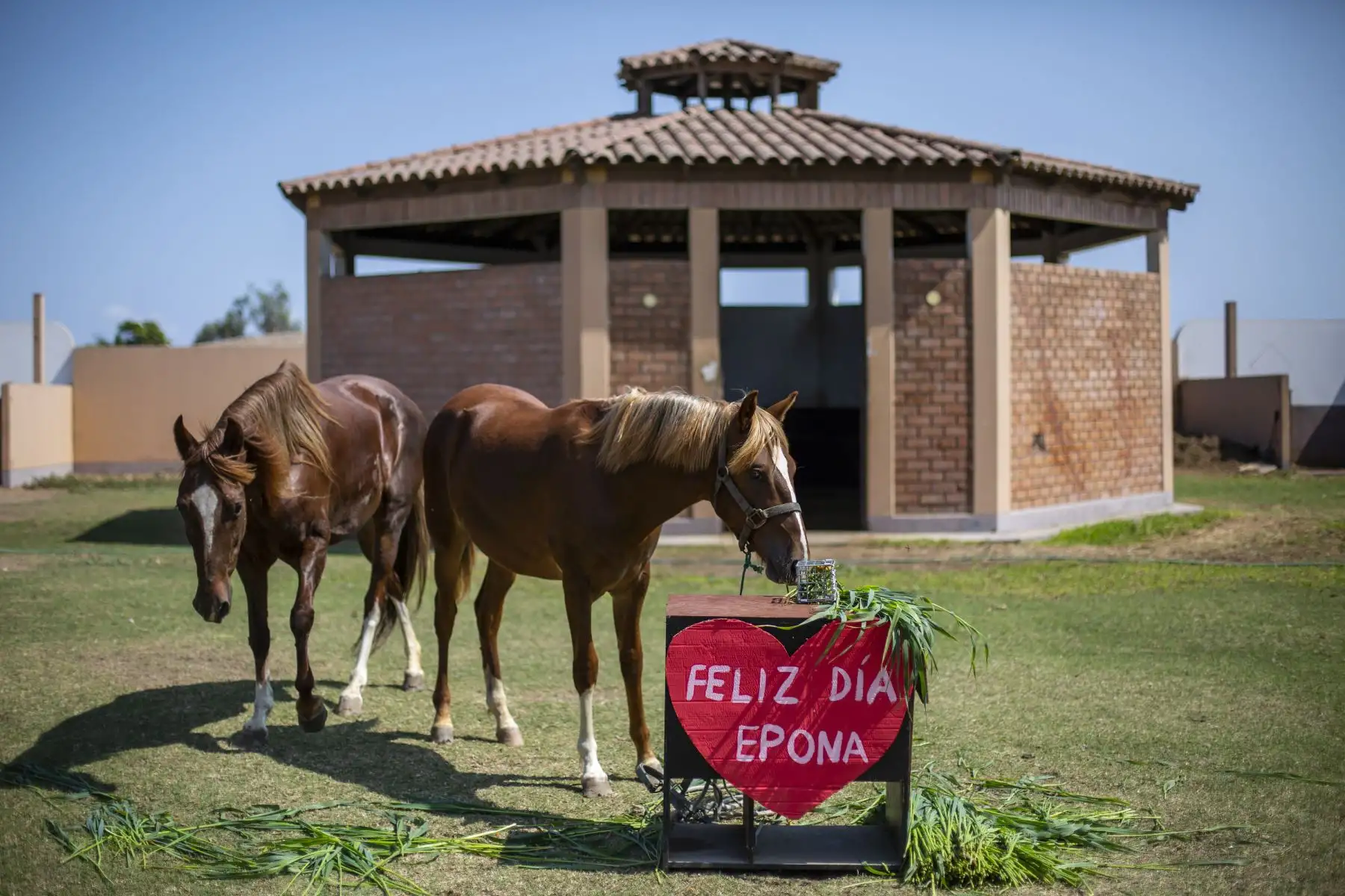 El Parque de las Leyendas celebró de Día de la Madre  de sus animales. Foto: ANDINA/Municipalidad de Lima