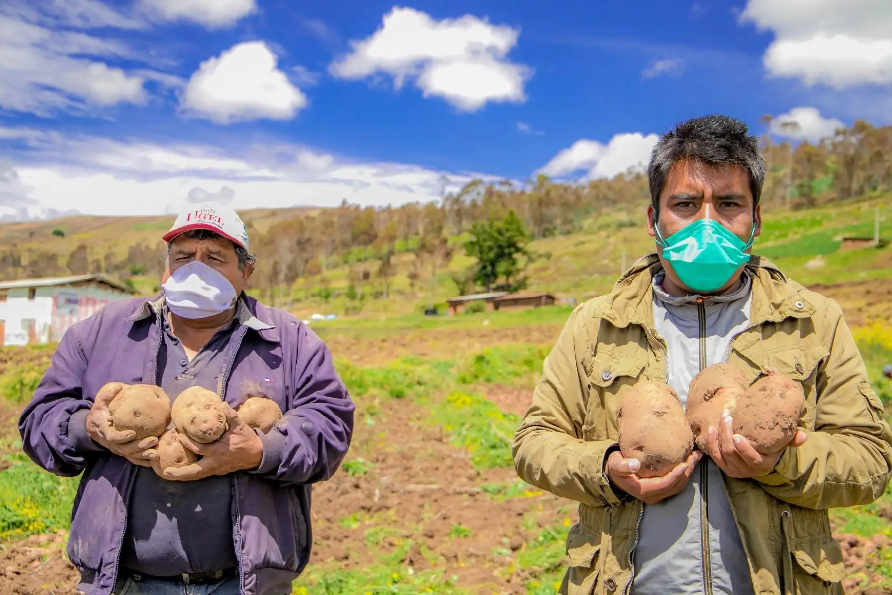 Pequeños agricultores. Foto: ANDINA/Difusión