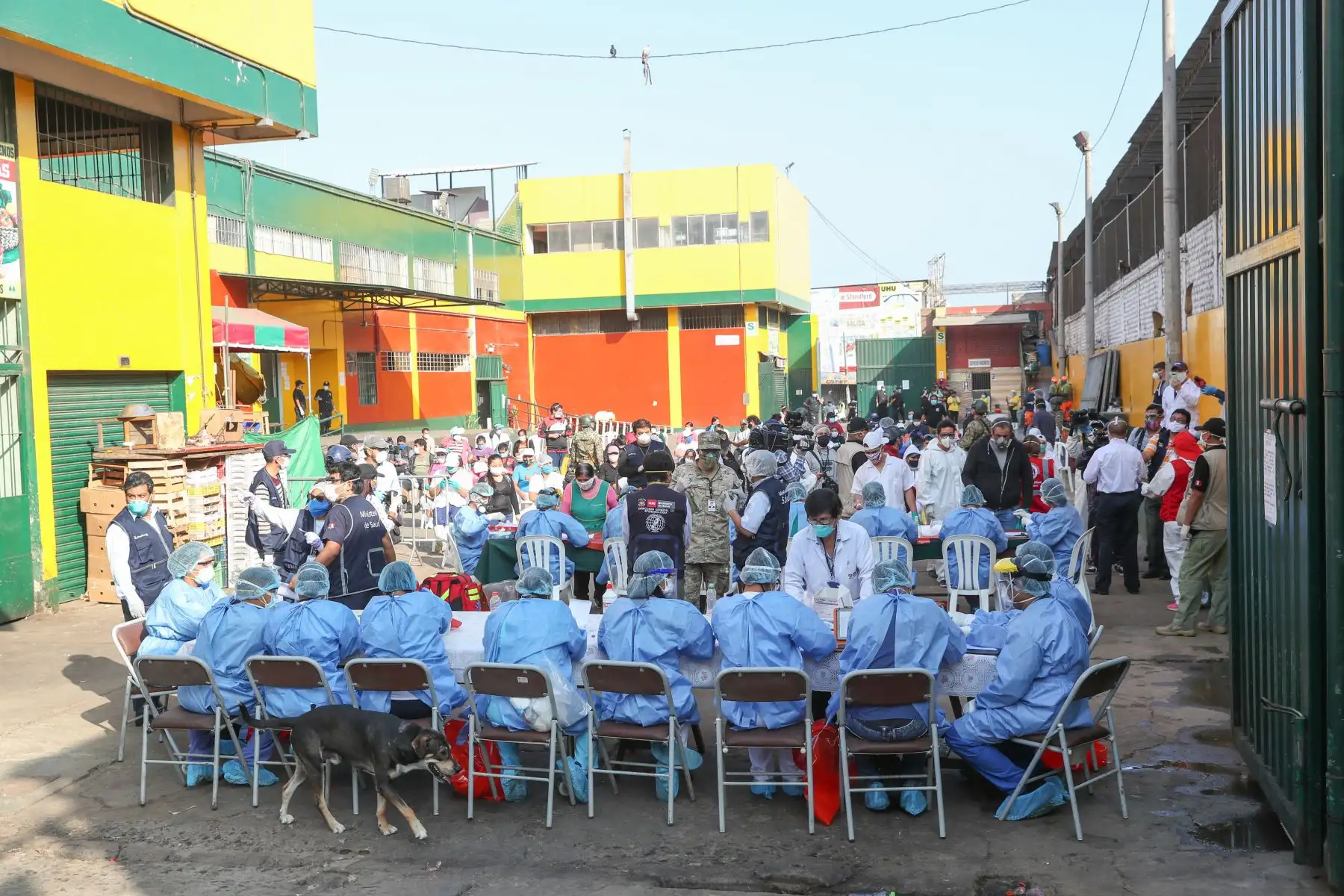 El Ministro de Salud, Víctor Zamora y el ministro de Defensa, Walter Martos supervisan la toma de pruebas rápidas a comerciantes del mercado Ciudad de Dios en San Juan de Miraflores.
 Foto: Mindef