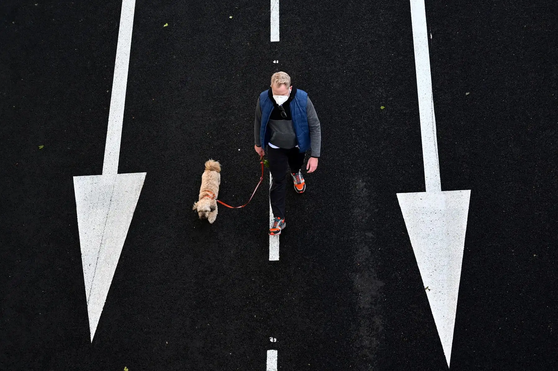 Un hombre con una máscara pasea a su perro en Madrid, durante las horas permitidas por el gobierno para hacer ejercicio, durante el cierre nacional para evitar la propagación de la enfermedad COVID-19. Foto: AFP
