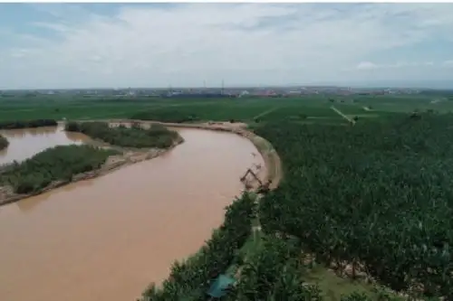 El Ministerio de Agricultura y Riego culminó los trabajos de protección de cultivos en la región fronteriza de Tumbes. Foto: ANDINA/Difusión