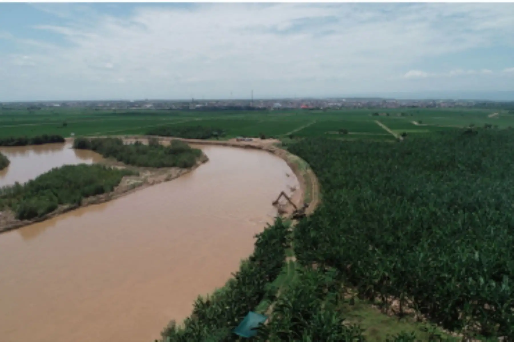 El Ministerio de Agricultura y Riego culminó los trabajos de protección de cultivos en la región fronteriza de Tumbes. Foto: ANDINA/Difusión