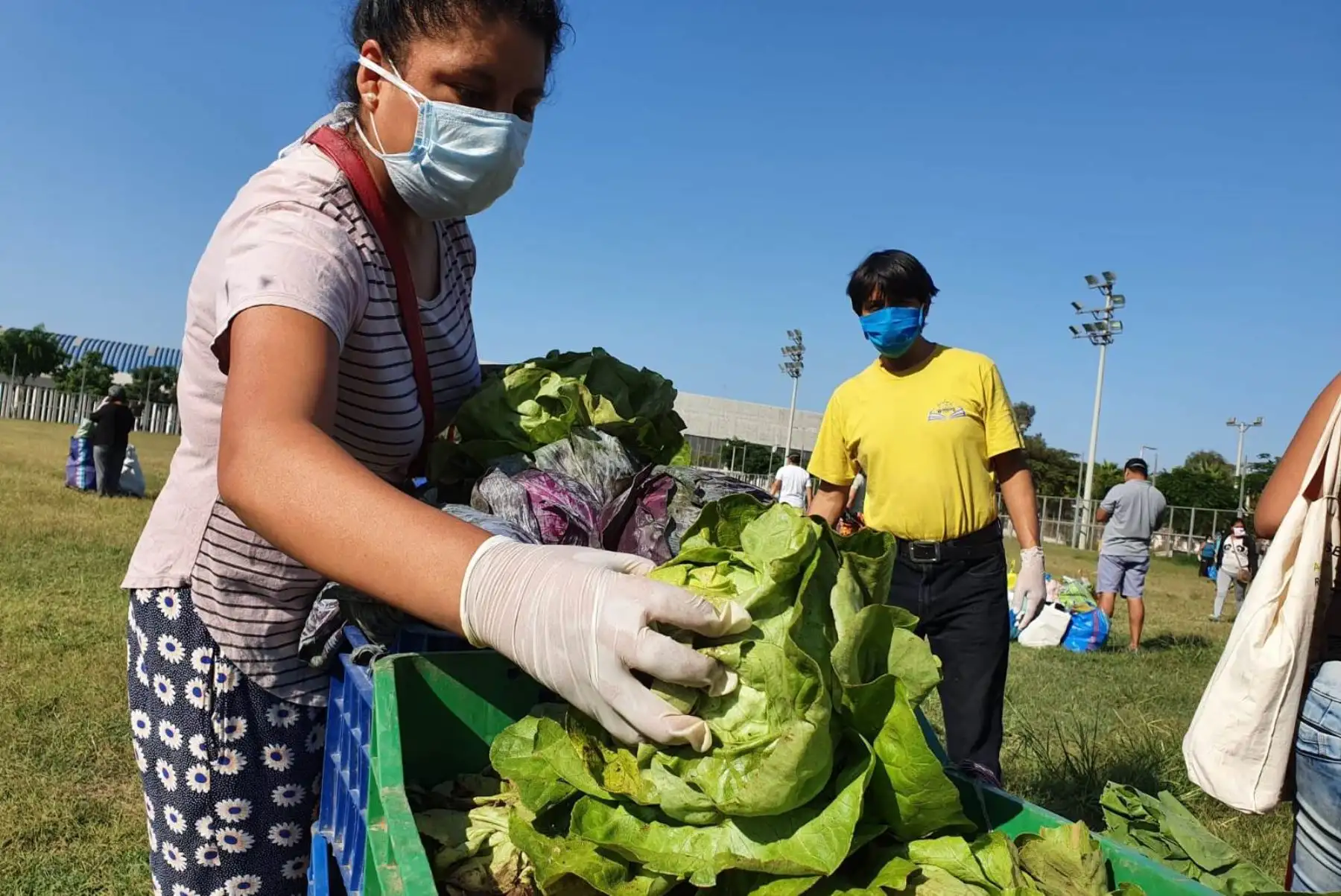 Mercado Mayorista Móvil llegará por primera vez a Carabayllo y Pachacámac. Foto: ANDINA/Difusión.