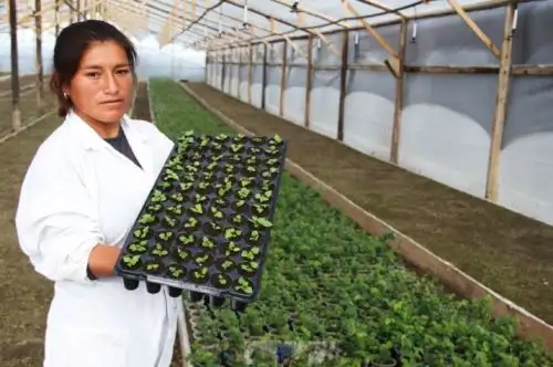 Medianas y grandes empresas de diversos sectores productivos junto a universidades, centros de innovación, entre otras entidades, podrán desarrollar proyectos de innovación conjuntos gracias al fondo de cofinanciamiento de hasta 1 millón 500,000 soles que otorgará el Programa Innóvate Perú del Ministerio de la Producción, a través de su Concurso "Proyectos Colaborativos de Innovación”.