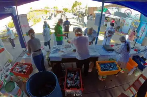 Desde que se inició la emergencia sanitaria en el país, 69 piscicultores del Valle de los Ríos Apurímac, Ene y Mantaro (Vraem), promovidos por la Comisión Nacional para el Desarrollo y Vida sin Drogas (Devida), lograron comercializar 25,088 kilos de carne de pescado, ampliando la oferta de bienes de primera necesidad y contribuyendo a la seguridad alimentaria de las familias en dicha zona del país.