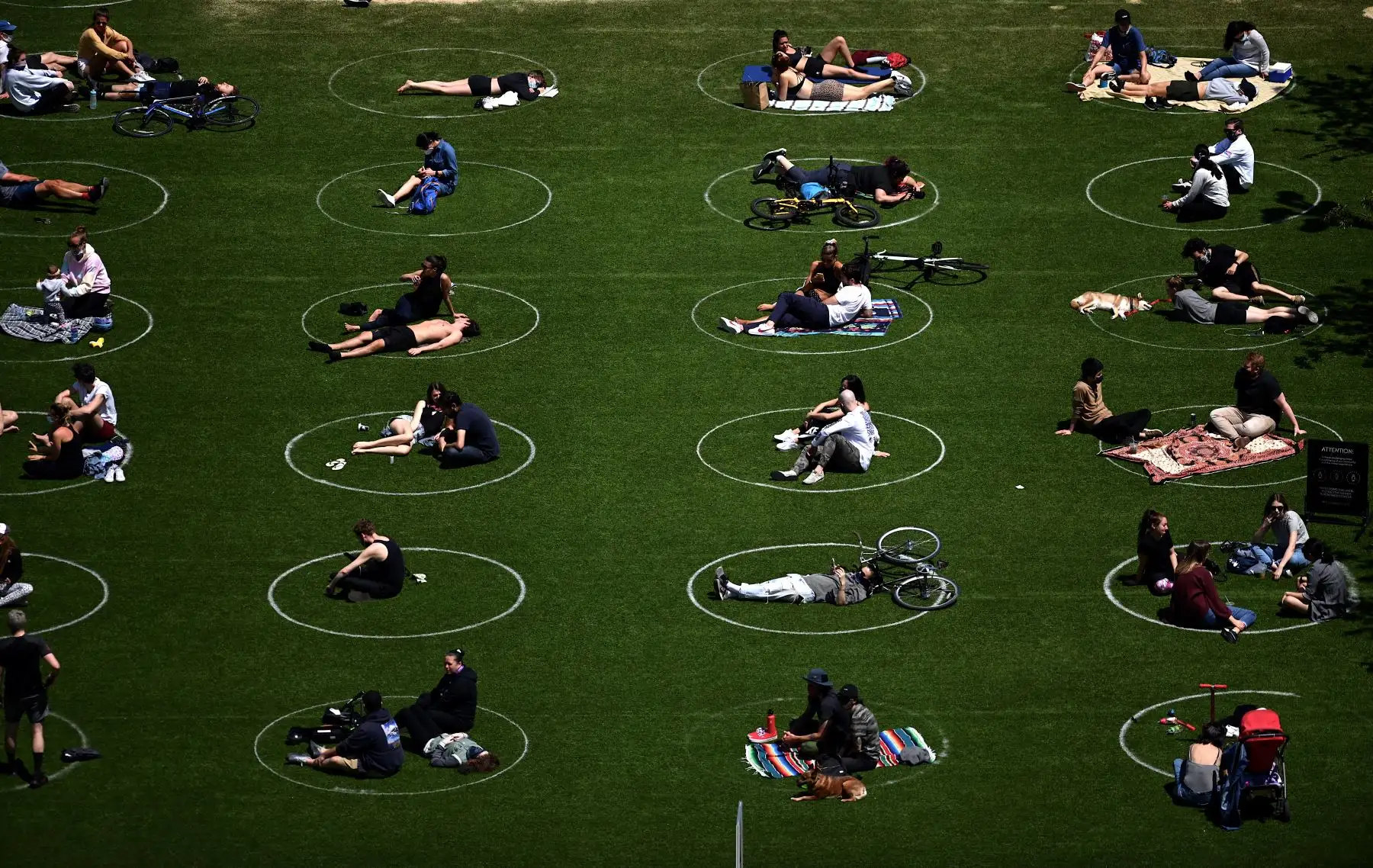 Ciudadanos practican el distanciamiento social en círculos blancos en Domino Park, durante la pandemia de Covid-19 en el distrito de Brooklyn de la ciudad de Nueva York. Foto: AFP