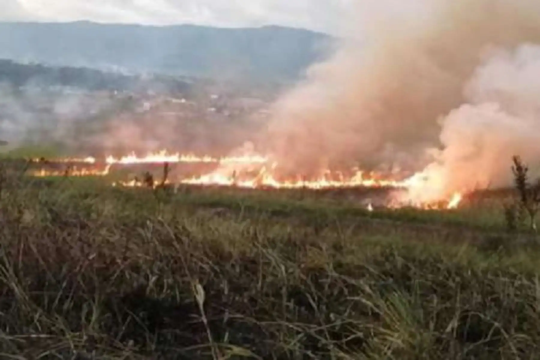 La Compañía de Bomberos Brigadier Eduardo Cruz Rodriguez N° 86 de Moyobamba, con el apoyo de un camión cisterna y una autobomba, logró extinguir el fuego que se desató anoche.