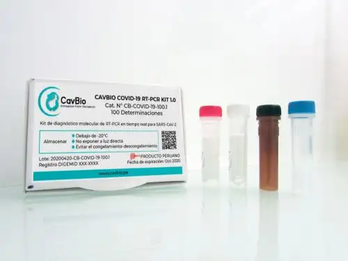 Foto: ANDINA/difusión.