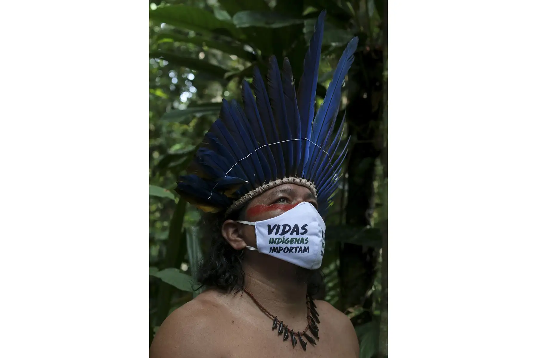 El líder indígena de Satere-Mawe, Andre Satere, de 38 años, usa una máscara facial que dice "Materia de vidas indígenas" mientras recolecta hierbas medicinales como carapanauba, caferana y saratudo, todas plantas nativas de la selva amazónica, para tratar a las personas que muestran síntomas del nuevo coronavirus. Foto: AFP