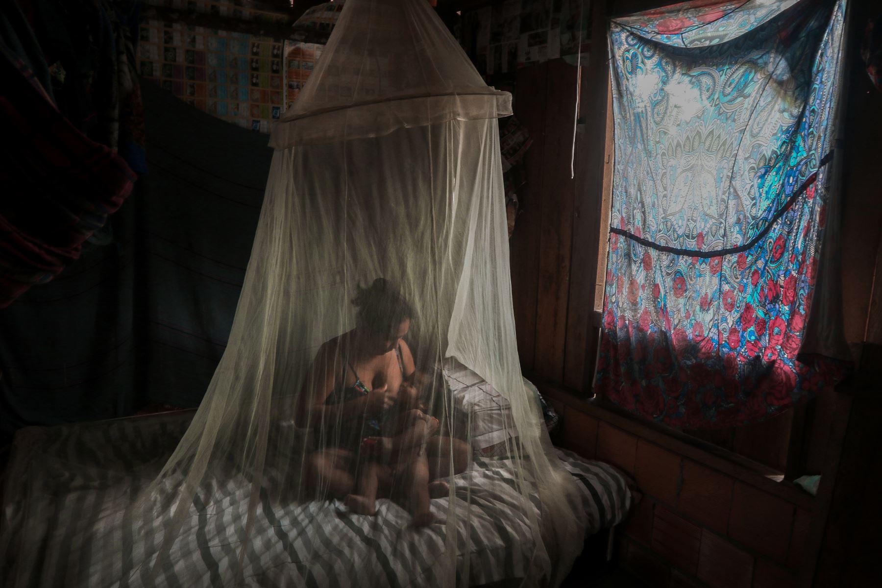La madre indígena Satere-Mawe, Priscila Tavares Batista, de 36 años, amamanta a su hijo de 2 años, en una cama protegida por una mosquitera, en la comunidad de Wakiru, en el barrio de Taruma, una zona rural al oeste de Manaus, estado de Amazonas, Brasil. Foto: AFP