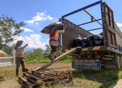Un total de siete organizaciones de cacaoteros del Valle de los Ríos Apurímac, Ene y Mantaro (Vraem), promovidas por la Comisión Nacional para el Desarrollo y Vida sin Drogas (Devida), concretaron la venta de 20.52 toneladas de cacao de calidad a la empresa Ecoandino, cuyo destino final será mercados de Europa y Norteamérica.